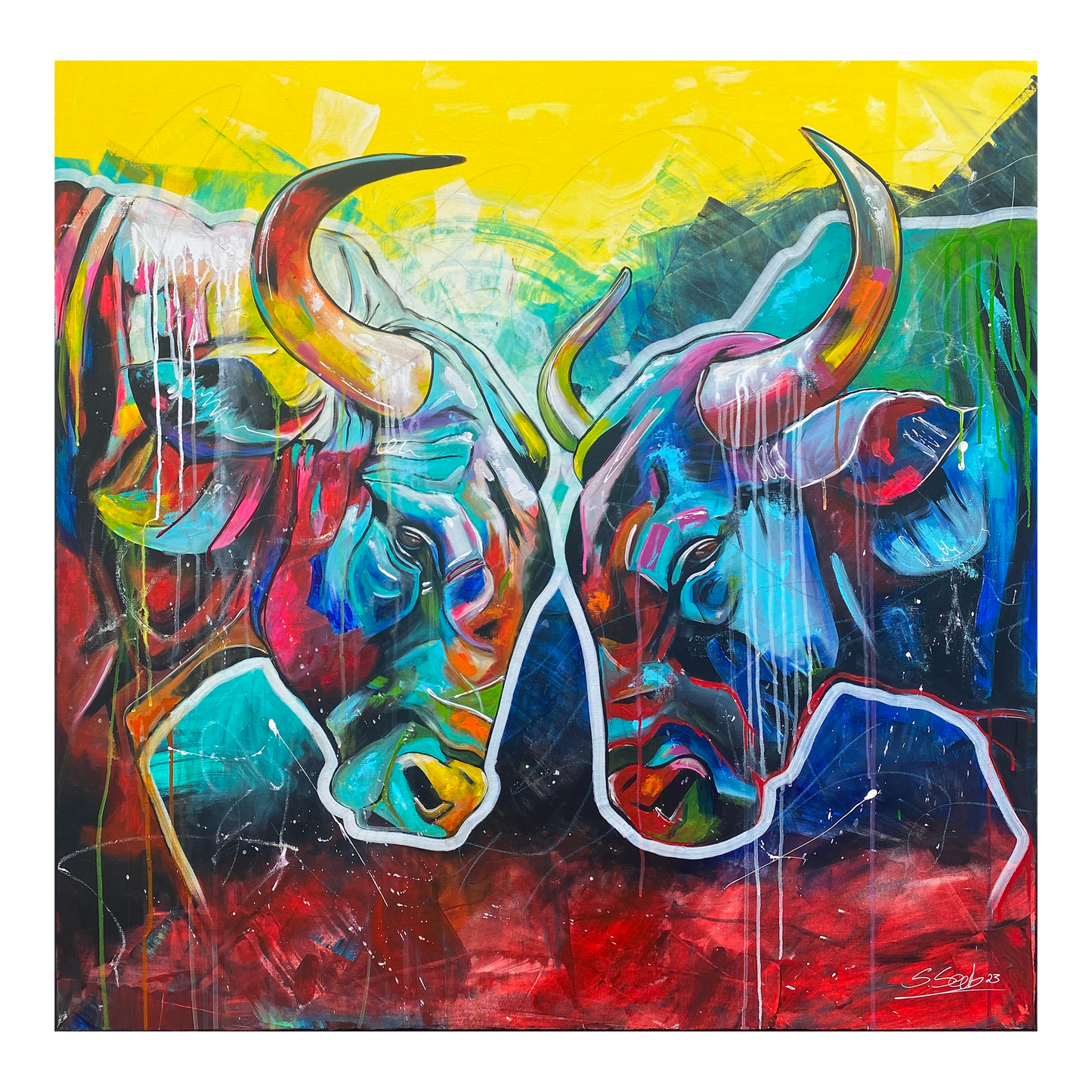 bulls