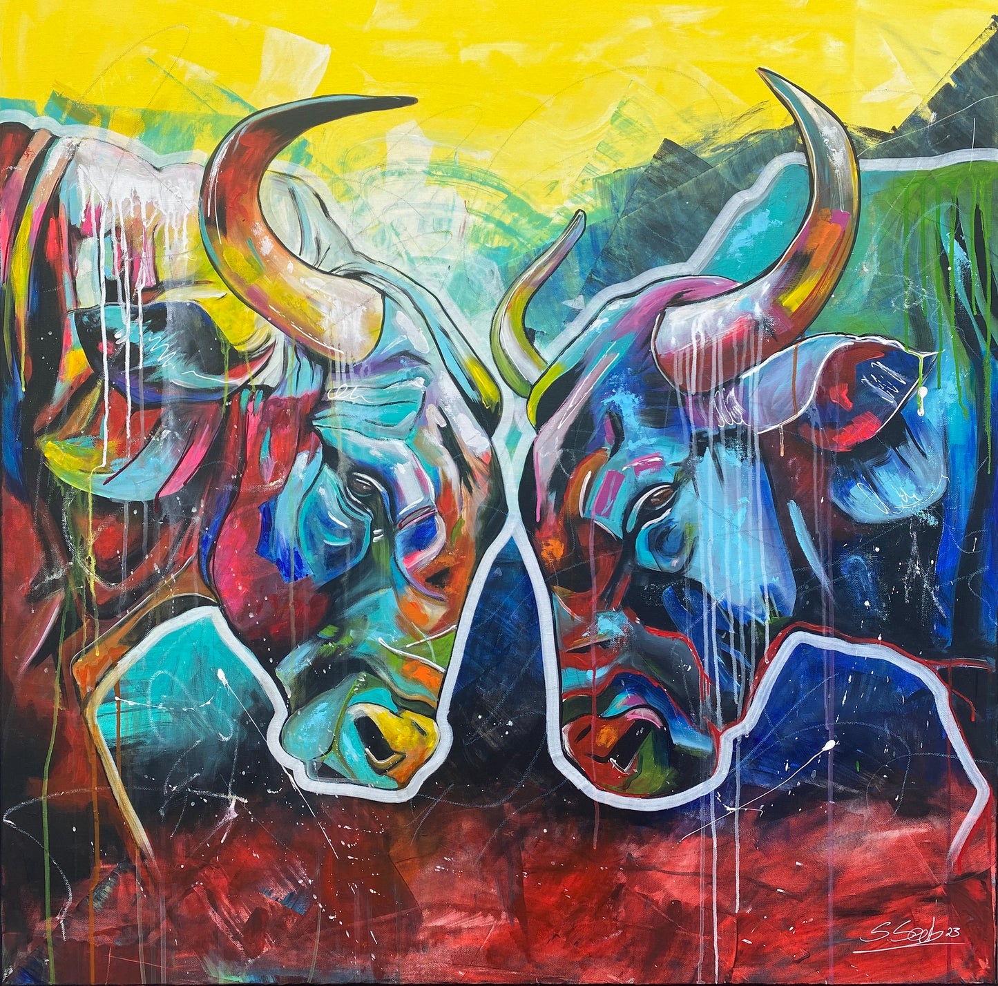 bulls